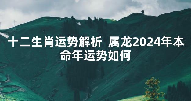 十二生肖运势解析  属龙2024年本命年运势如何
